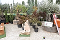 VBS_3436 - Floreal 2023 - Vivere con le piante